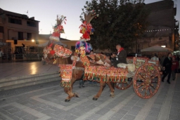 02 Lucca Sicula sagra sera082.JPG